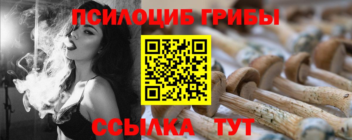 Псилоцибиновые грибы Psilocybe  Вход с VPN  цена   Абакан 